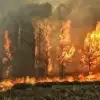 سورية تحترق