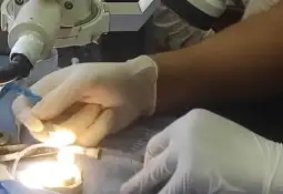 متابعةً لأعمال المؤتمر الطبي الأوروبي العربي الأول في سورية متابعةً لأعمال المؤتمر الطبي الأوروبي العربي الأول في سورية