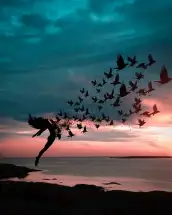 لـمحة عن الريح!! صقر عليشي