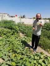 بين قيس بن الملوح ومحمد الحفري..!!عبدالكريم العفيدلي*