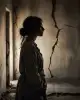 صمتُ الجدران!!